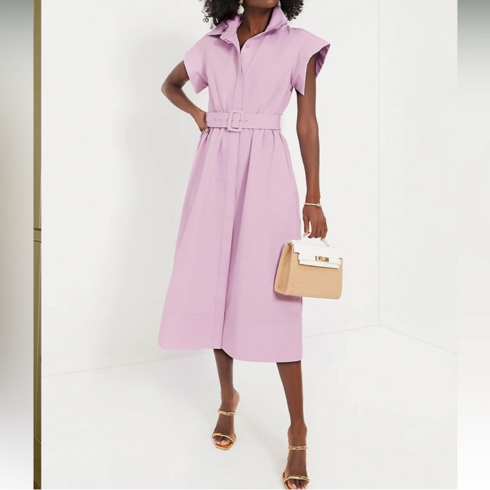 Elegant Lavender Belted Dress, The Chloe - Picture 3 of 6